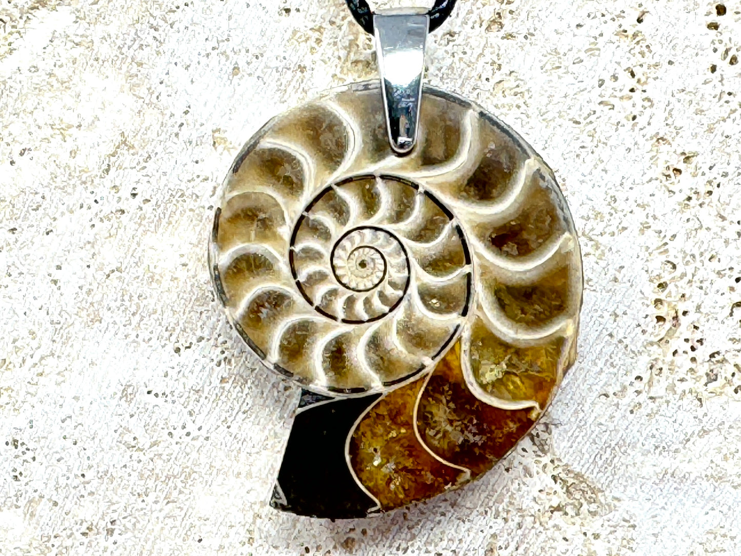 Ammonite Half Pendant 3.6cm