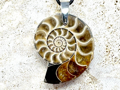 Ammonite Half Pendant 3.6cm