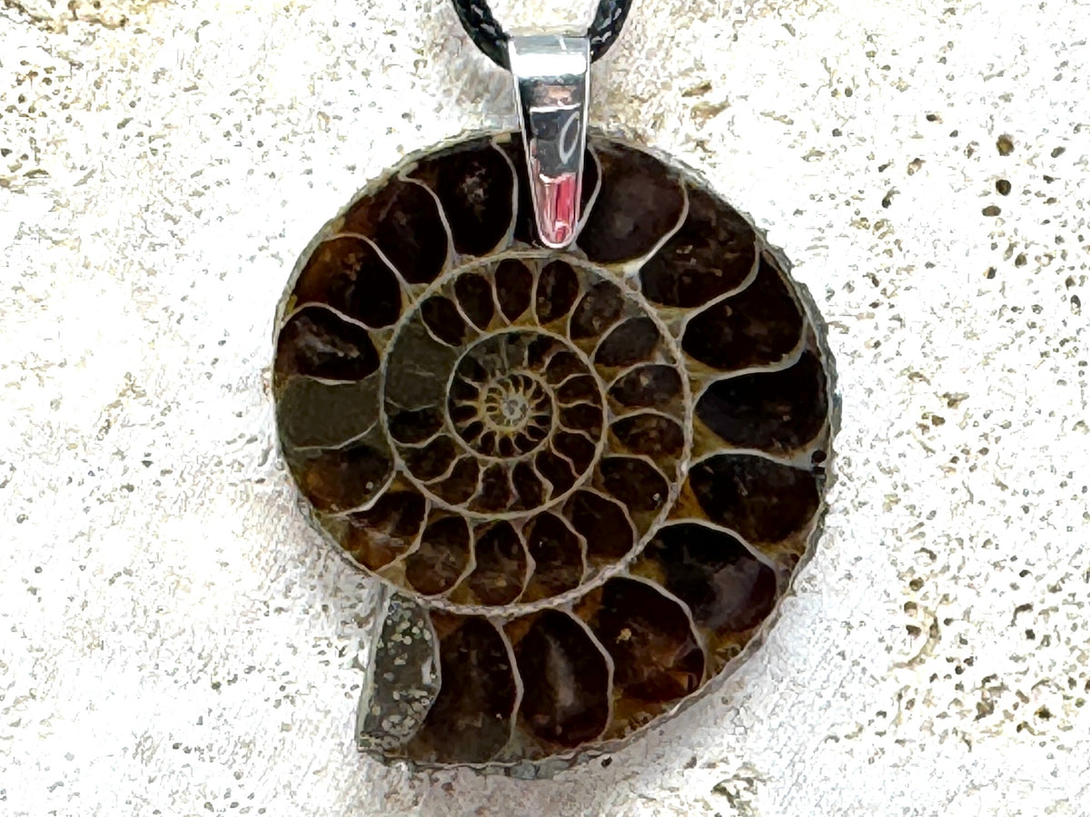 Ammonite Half Pendant 3.9cm