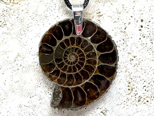 Ammonite Half Pendant 3.9cm