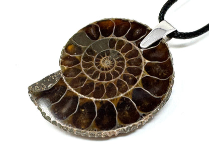 Ammonite Half Pendant 3.9cm