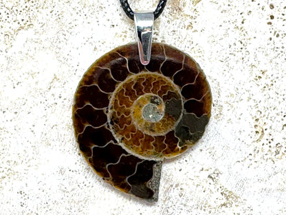 Ammonite Half Pendant 3.7cm