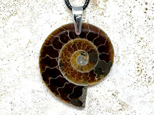 Ammonite Half Pendant 3.7cm