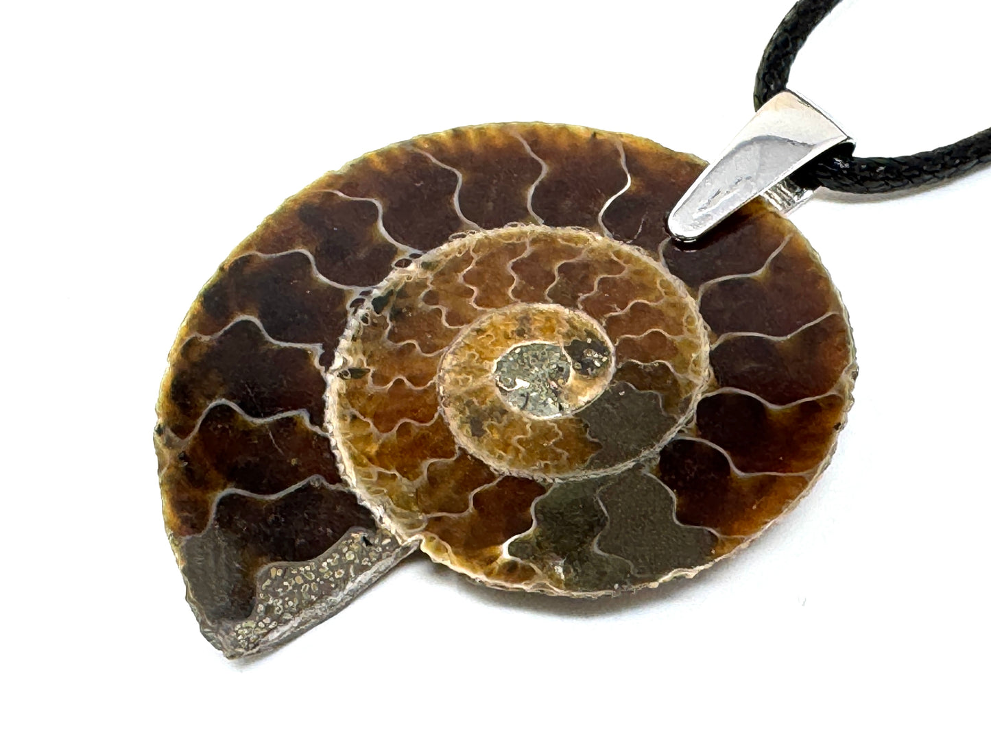 Ammonite Half Pendant 3.7cm
