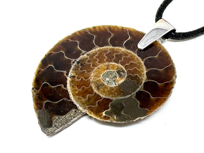 Ammonite Half Pendant 3.7cm