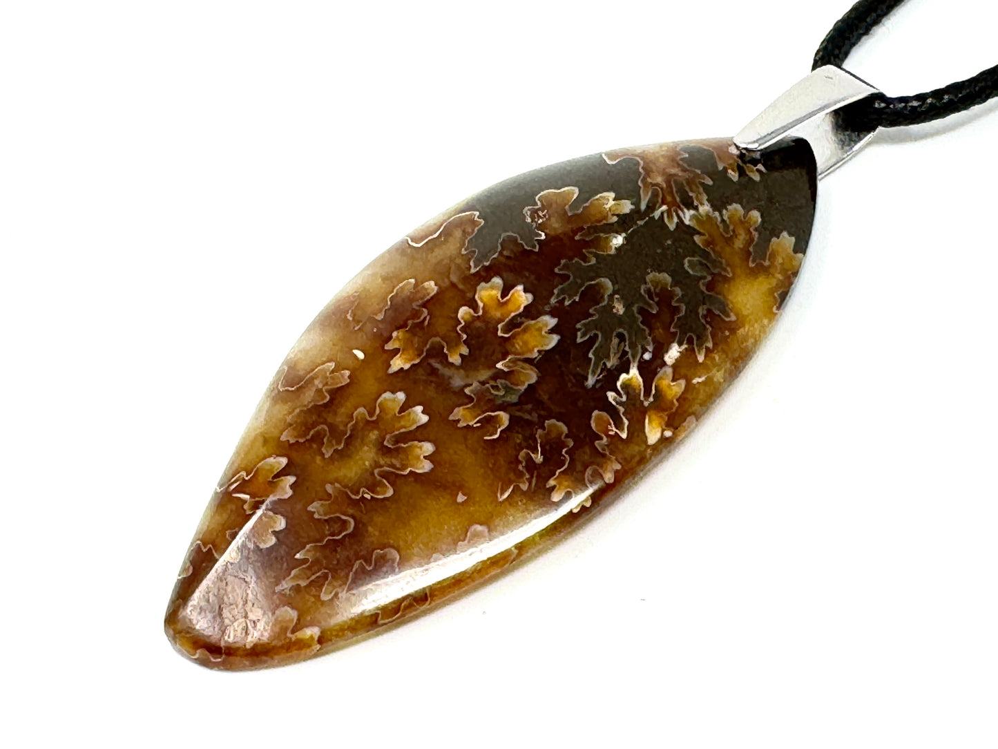 Ammonite Section Pendant Free Shape 5.7cm