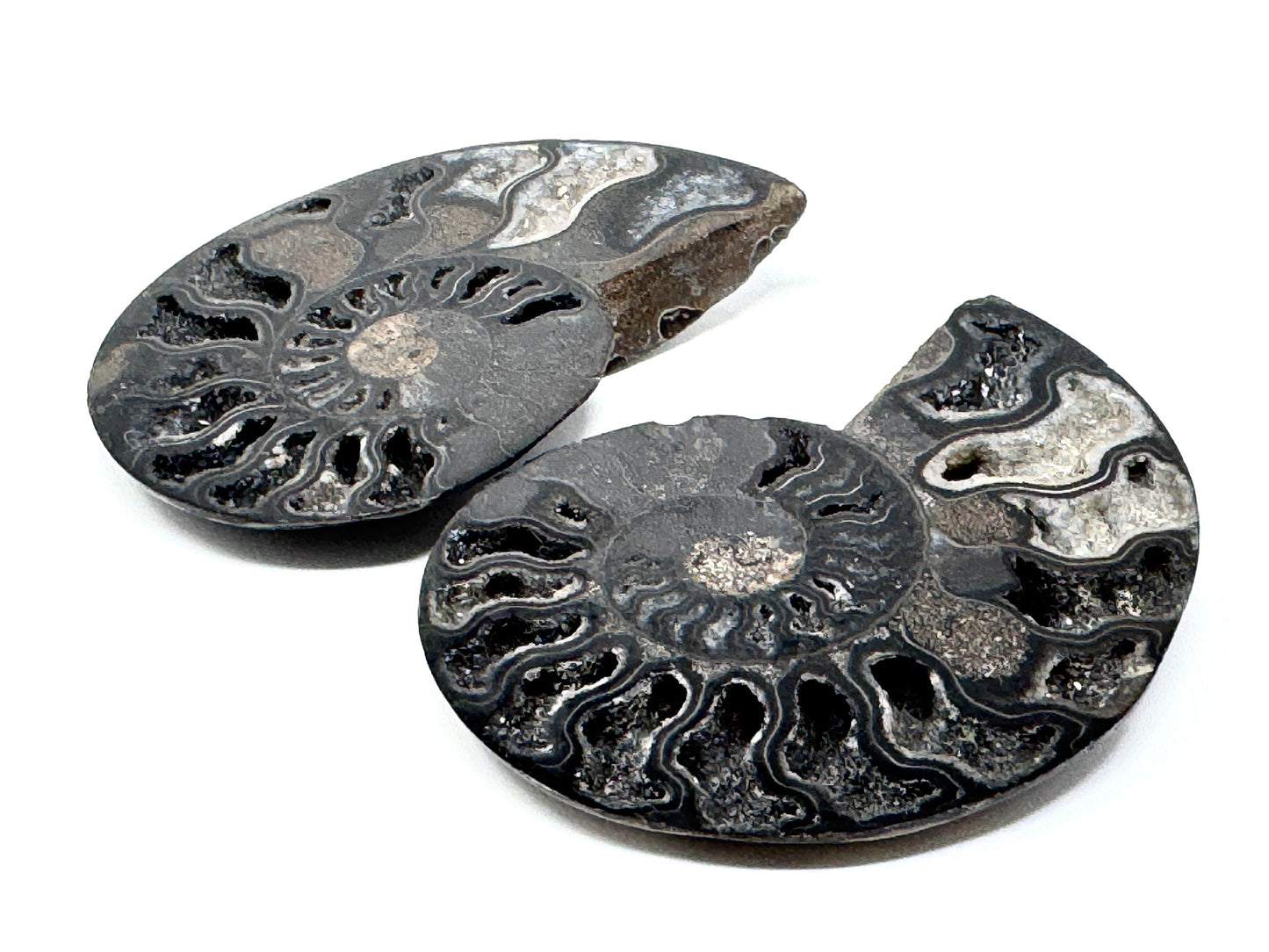 Druzy Black Ammonite Pair 7.8cm