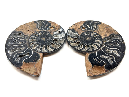 Black Ammonite Pair 11.2cm