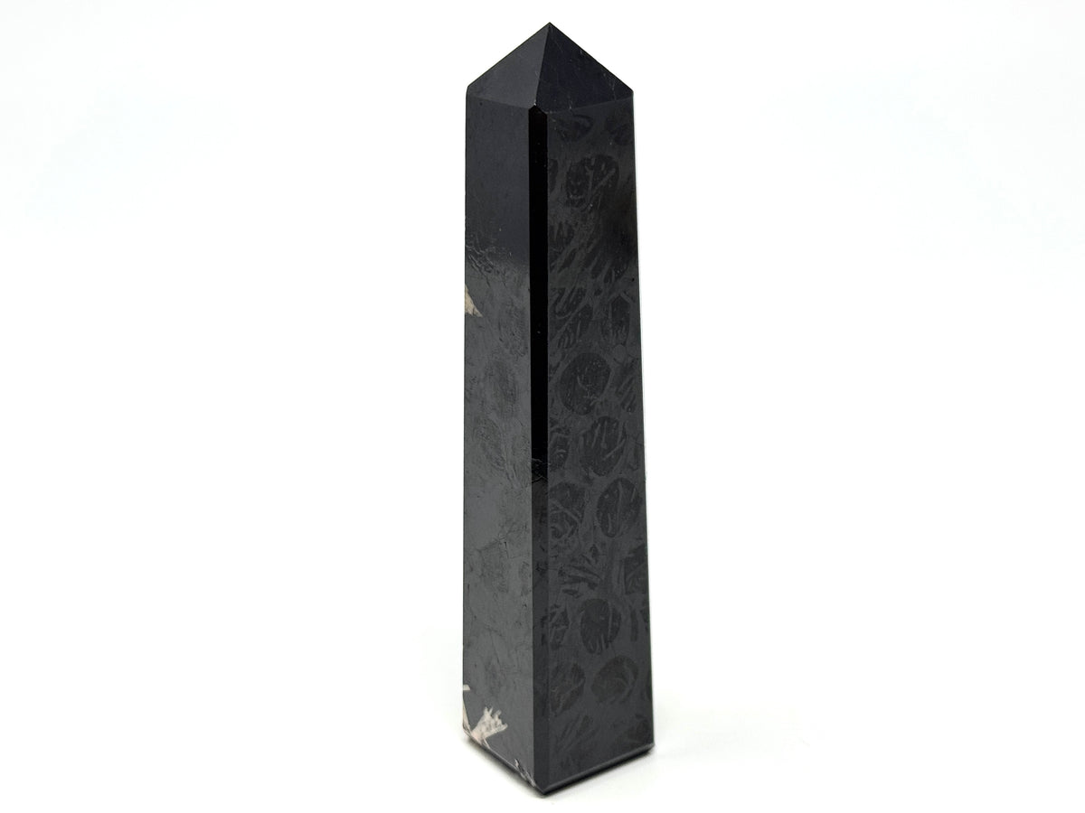Black Tourmaline Crystal Tower 12.4cm