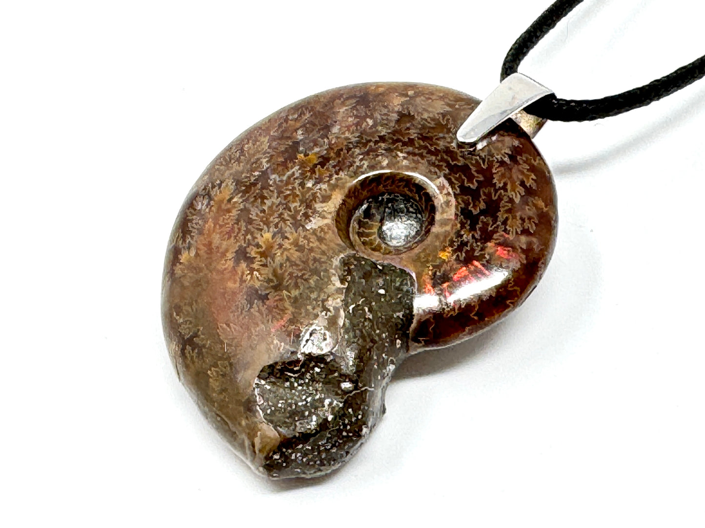 Polished Cleoniceras Ammonite Pendant 4.5cm