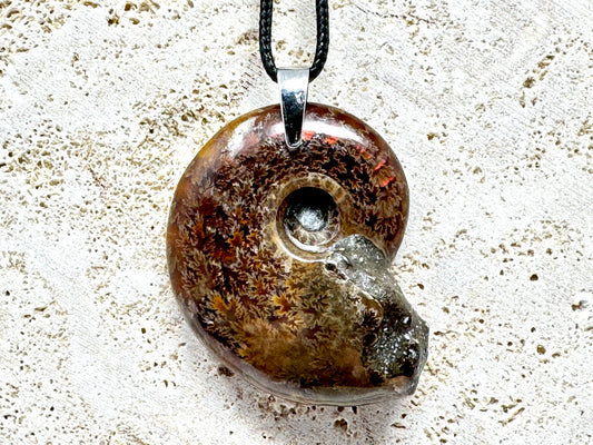 Polished Cleoniceras Ammonite Pendant 4.5cm