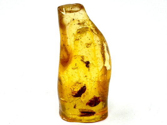 Copal With Insects 3.3cm