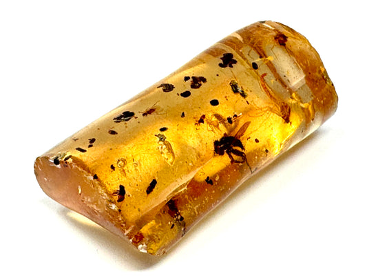 Copal With Insects 2.9cm