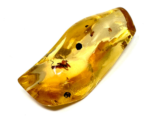 Copal With Insects 5.4cm