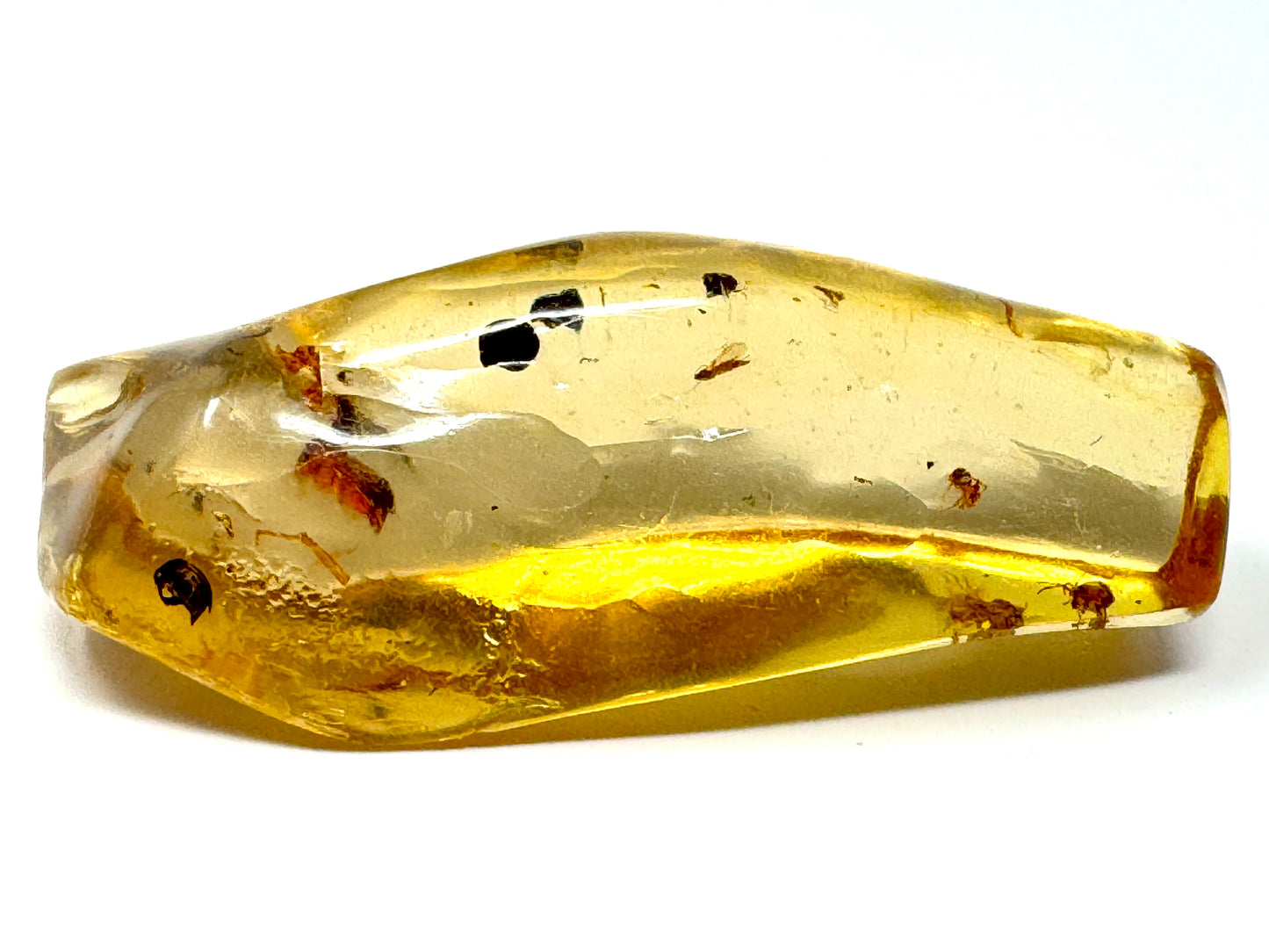 Copal With Insects 5.4cm