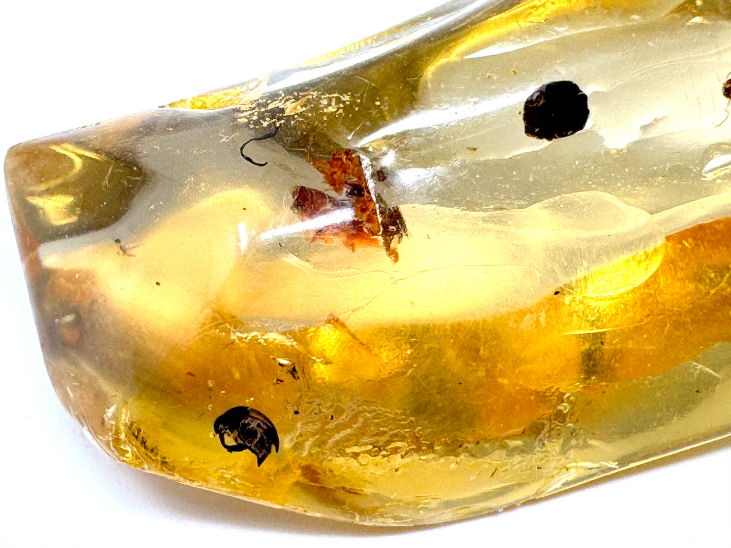 Copal With Insects 5.4cm