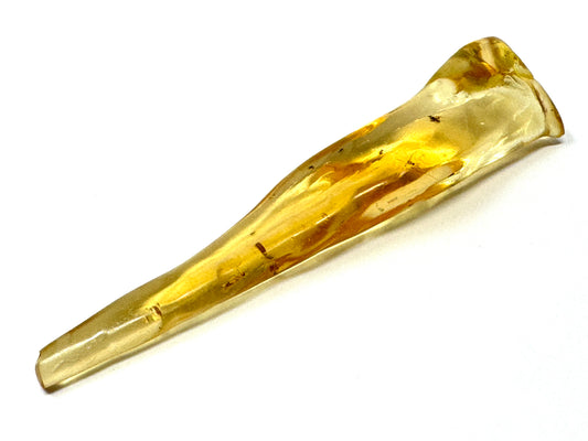 Copal With Insects 9.8cm
