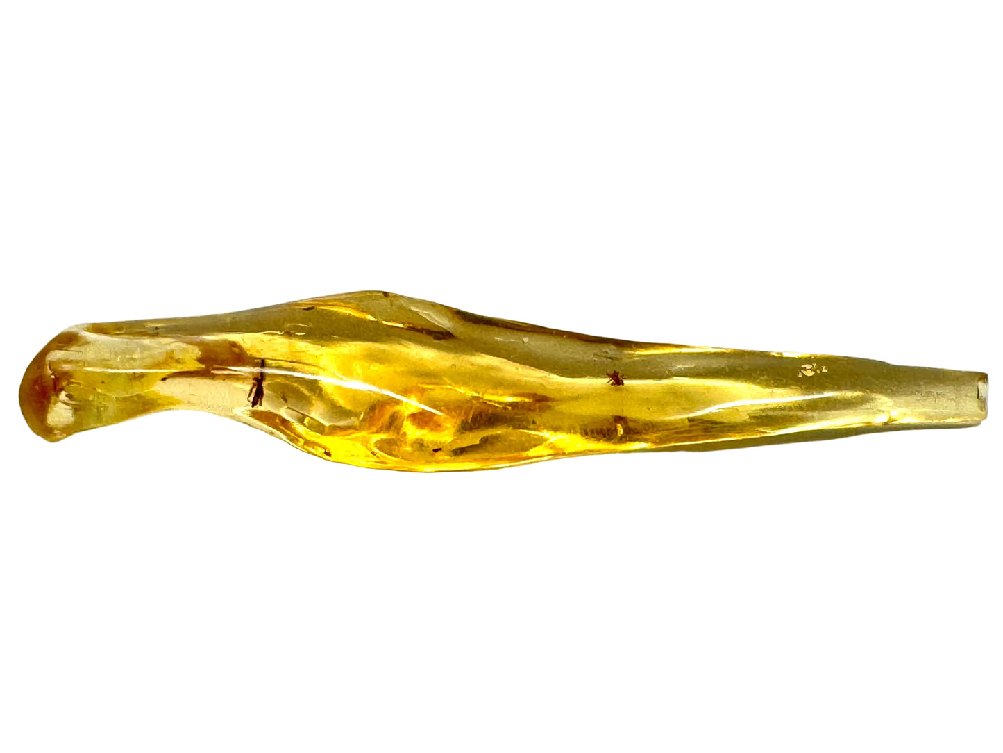 Copal With Insects 9.8cm
