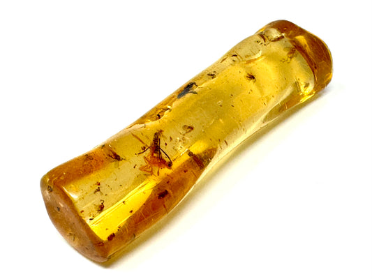 Copal With Insects 5.9cm