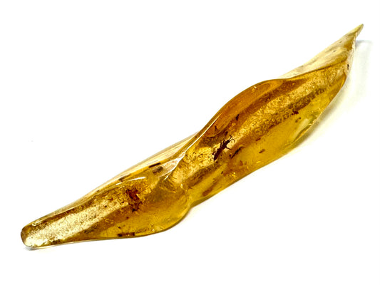 Copal With Insects 11.8cm