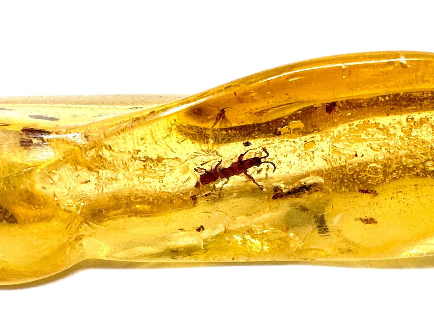 Copal With Insects 11.8cm