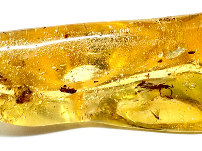 Copal With Insects 11.8cm