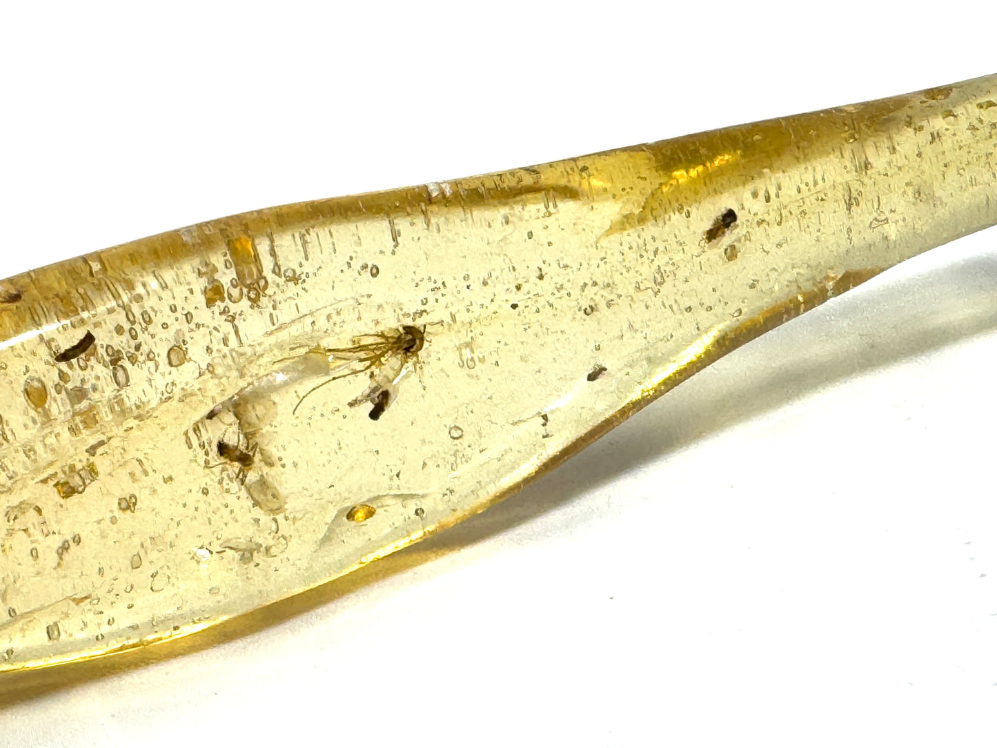 Copal With Insects 9.2cm