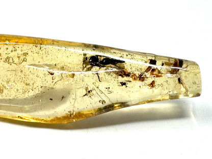 Copal With Insects 9.2cm