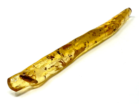 Copal With Insects 13.6cm