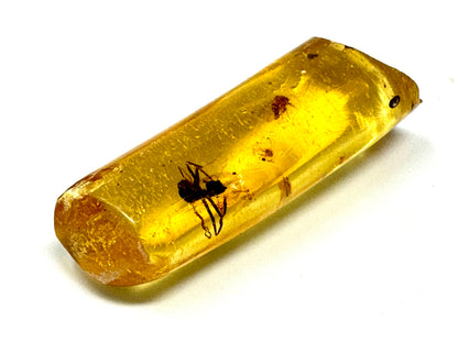 Copal With Insects 3.4cm