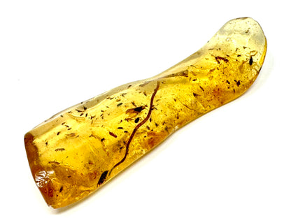 Copal With Insects 9cm