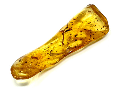 Copal With Insects 9cm