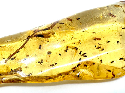Copal With Insects 9cm