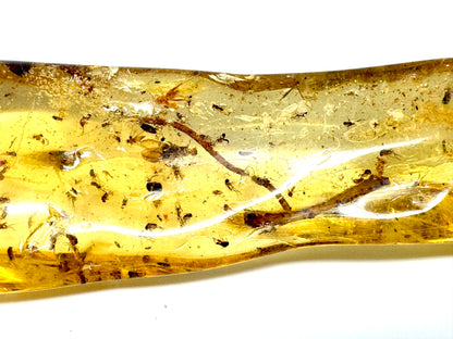 Copal With Insects 9cm