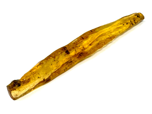 Copal With Insects 15.7cm