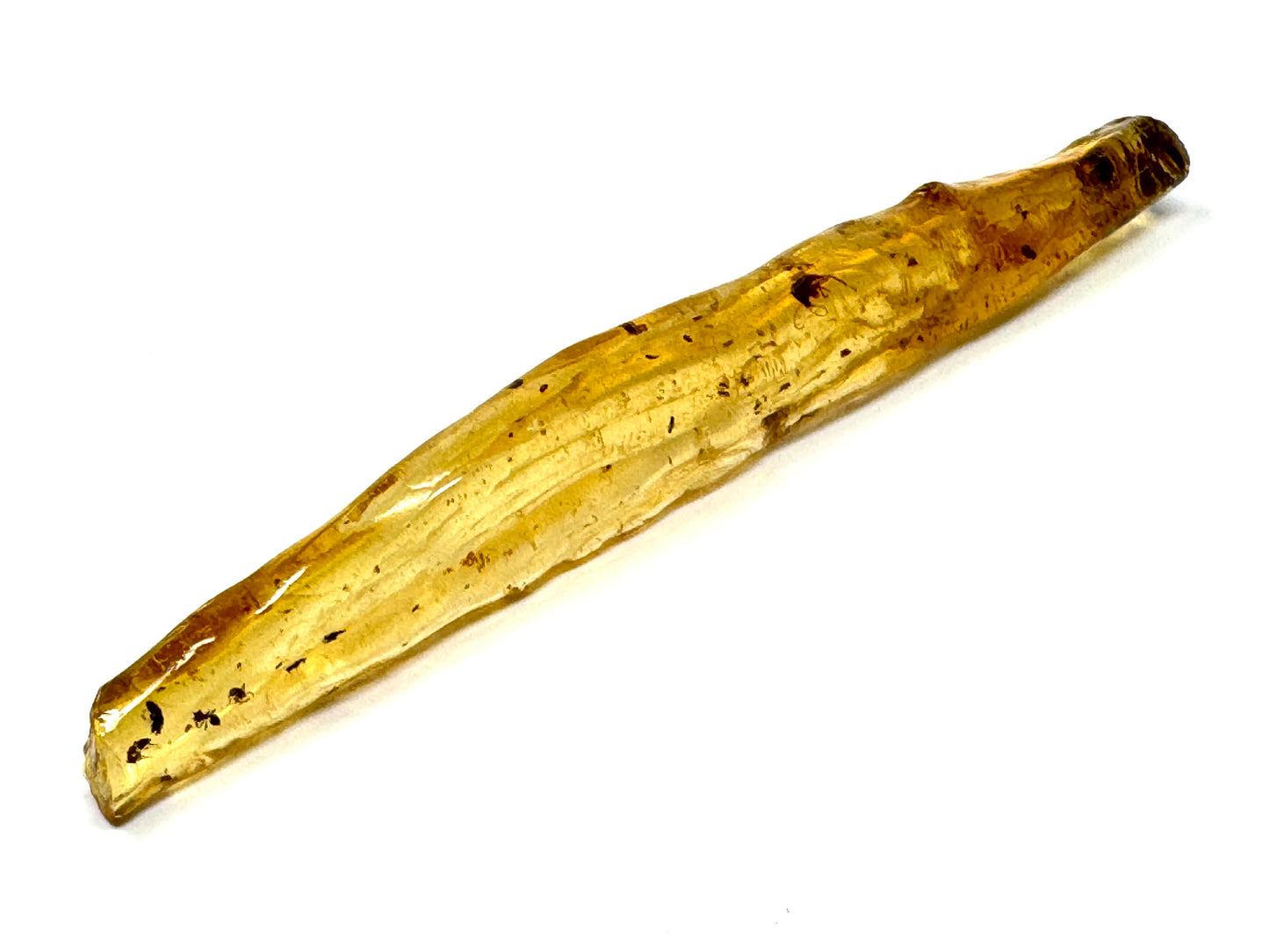 Copal With Insects 15.7cm