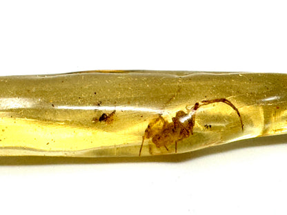 Copal With Insects 8.2cm