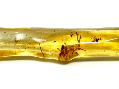 Copal With Insects 8.2cm