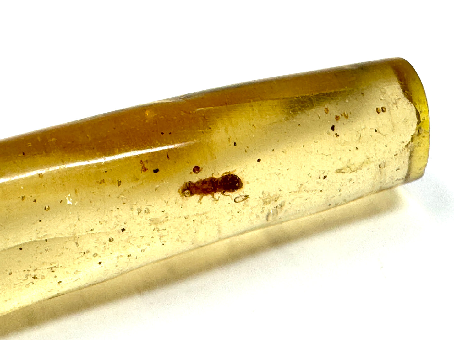 Copal With Insects 8.2cm