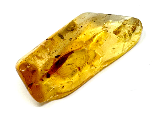 Copal With Insects 5cm