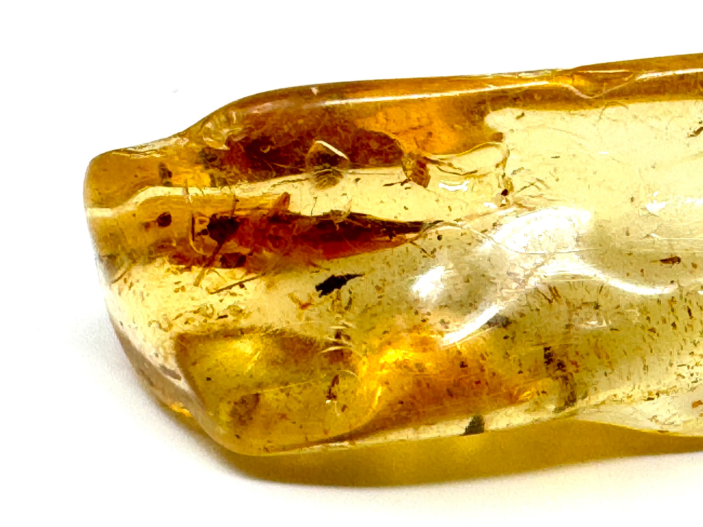Copal With Insects 5cm