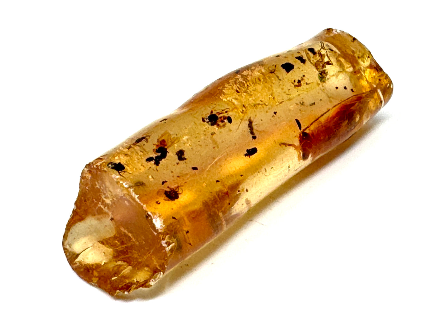 Copal With Insects 3.5cm