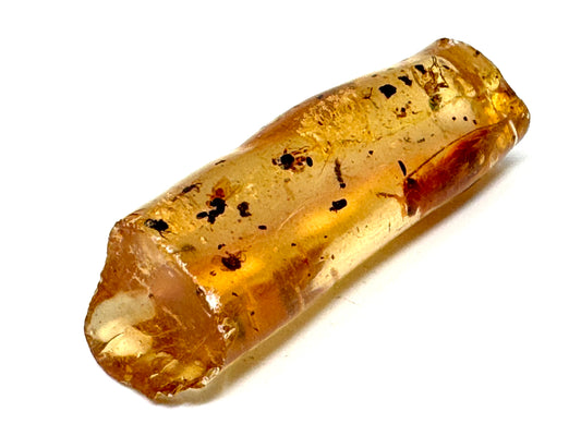 Copal With Insects 3.5cm