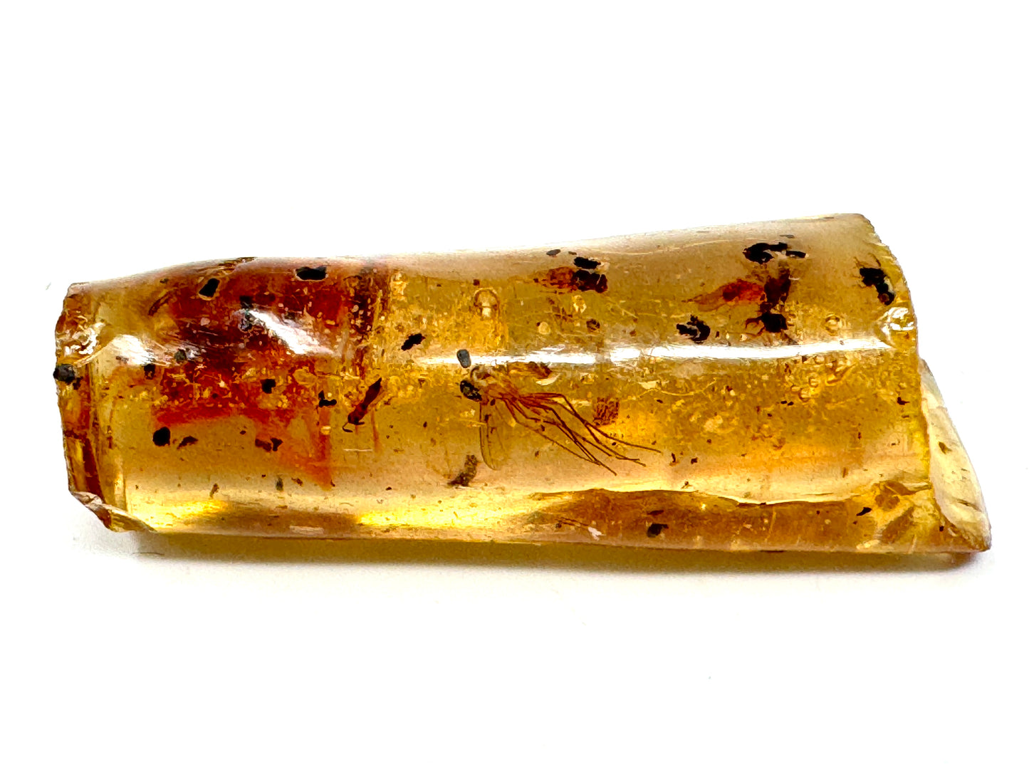 Copal With Insects 3.5cm