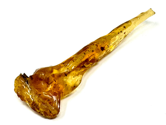 Copal With Insects 12.8cm
