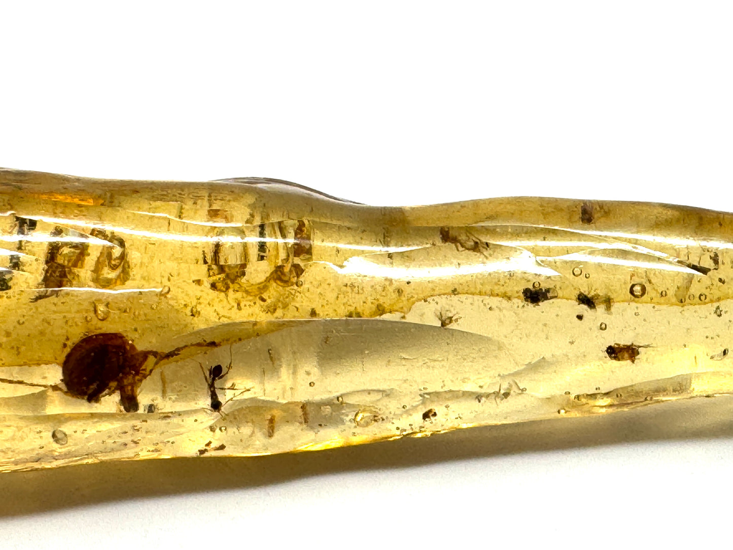 Copal With Insects 12.8cm