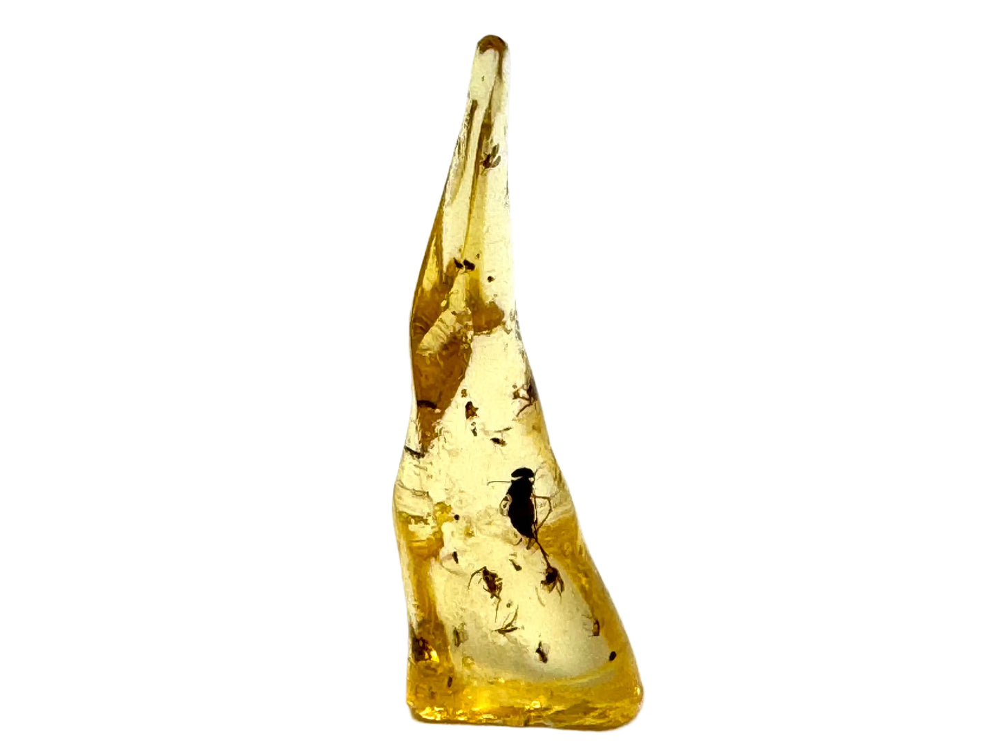 Copal With Insects 6.4cm