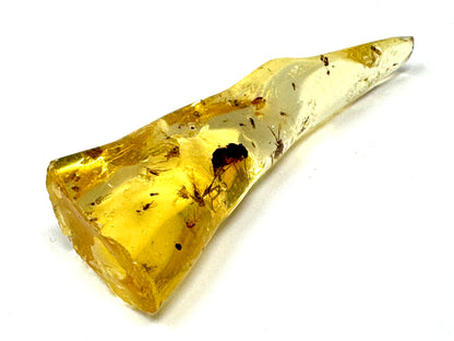 Copal With Insects 6.4cm