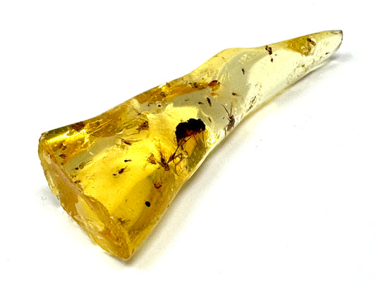 Copal With Insects 6.4cm