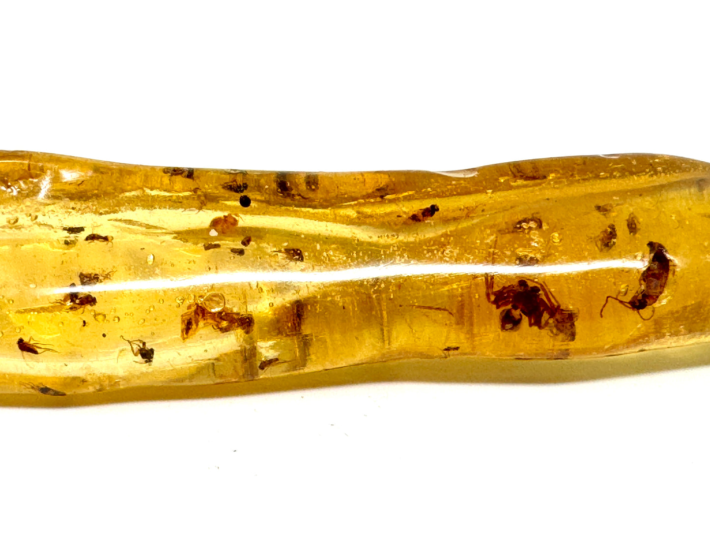 Copal With Insects 10.8cm